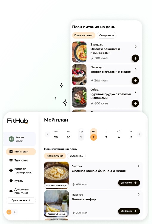Интерфейс приложения FitHub